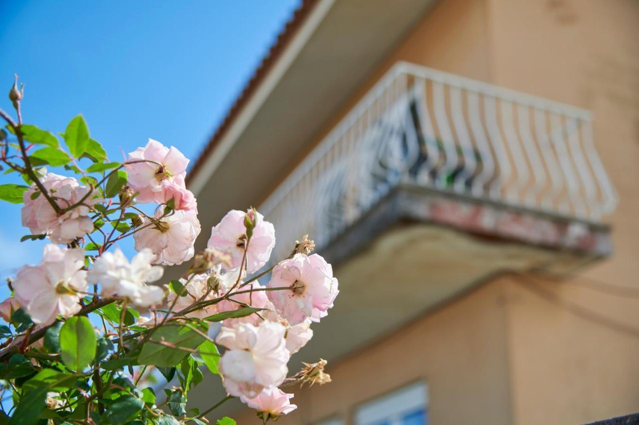 Bright Apartment With Garden In Cascais Ngoại thất bức ảnh
